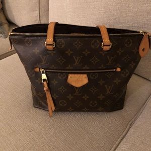 Lena Louis Vuitton PM bag